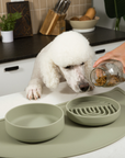 The Medium Slow Feeding Set (Sage)