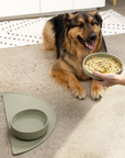 The Medium Slow Feeding Set (Sage)