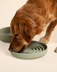 The Medium Slow Feeding Set (Sage)