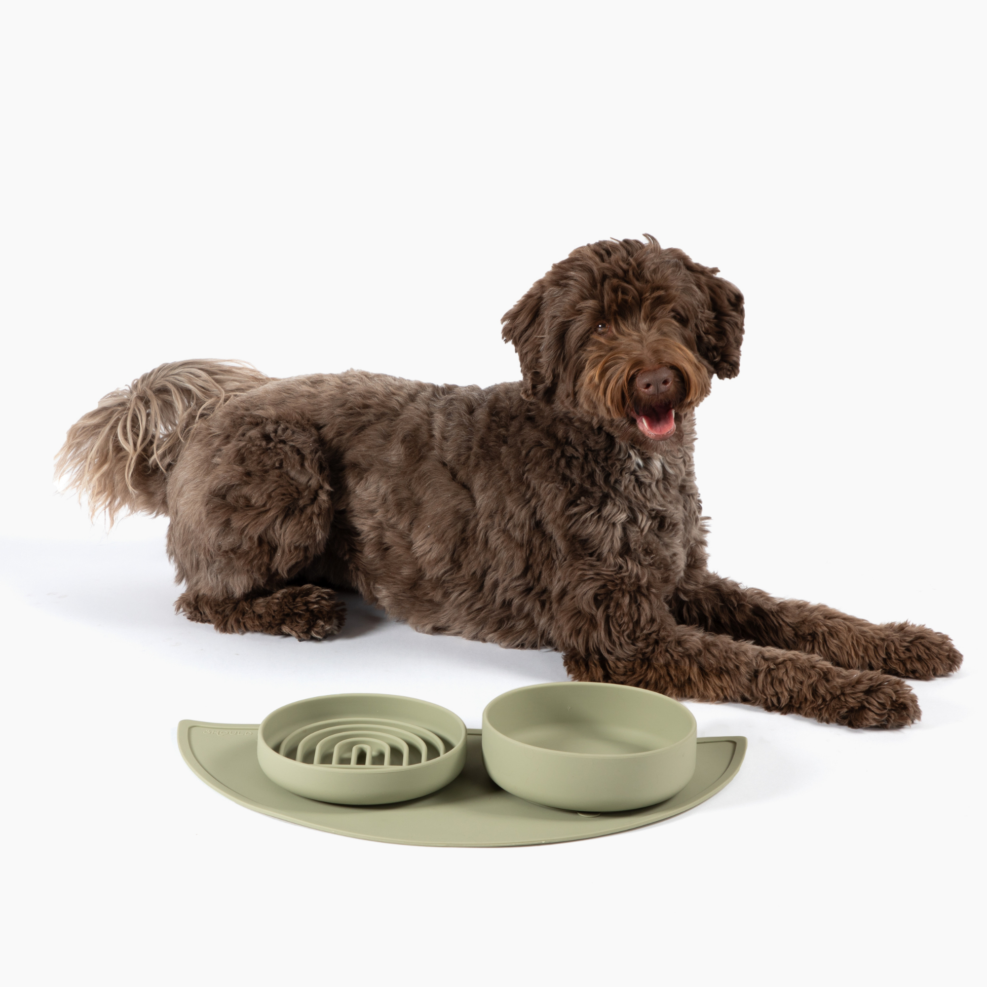 The Medium Slow Feeding Set (Sage)