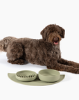 The Medium Slow Feeding Set (Sage)