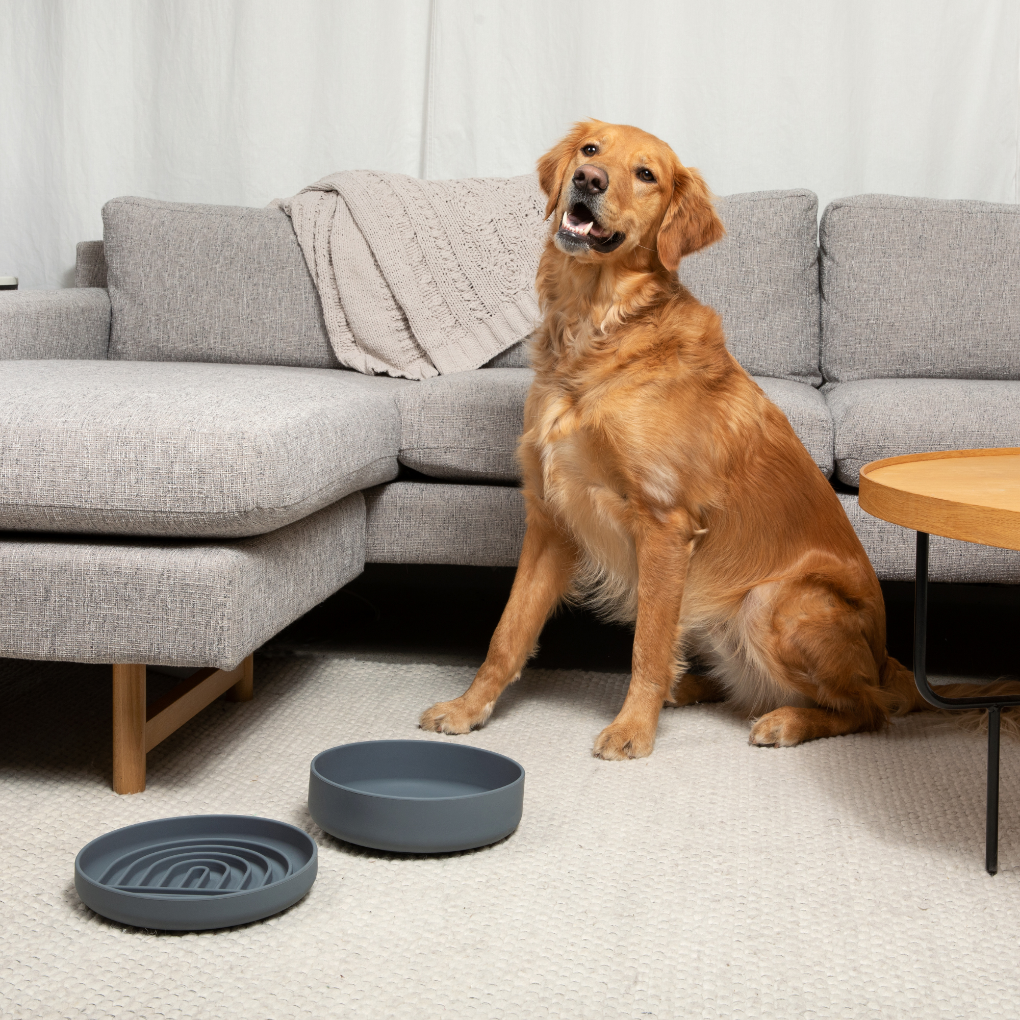 The Slowdown Bowl: Slow Feeder &amp; Lick Mat