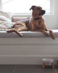 Elevated Bamboo Dog Bowl Stand