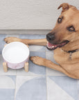 Elevated Bamboo Dog Bowl Stand