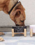 Elevated Bamboo Dog Bowl Stand